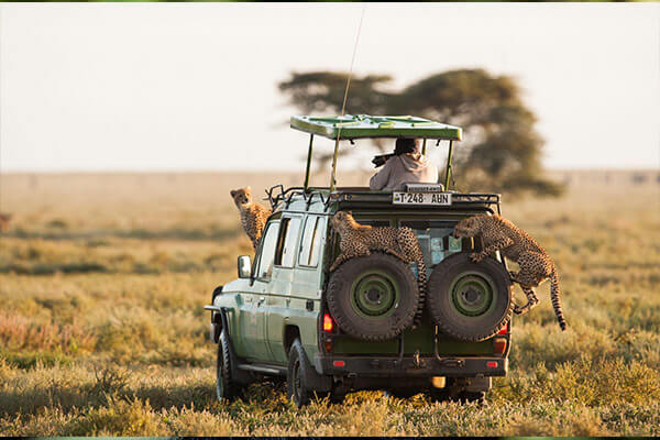 kenay-tanzania-safaris